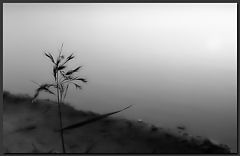 photo "night fall..."