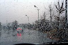 photo "Rain. A sight from within (5)"