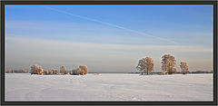 photo "Winter minimalism"