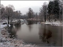 фото "Предзимье"