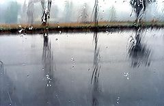 photo "Rain abstracts... (3)"