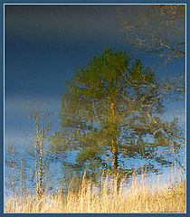 photo "Water Paints 2"