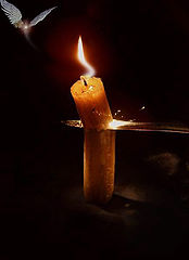 photo "Shе yet does not know,that already has died"