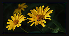 photo "To you..."