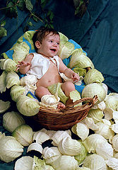 фото "Cabbage Baby"