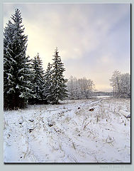 фото "Зимняя сказка"