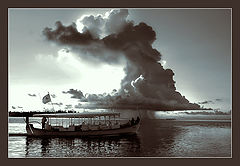 photo "DHONI.(bw)"