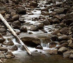 photo "brown winter river"
