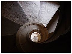 фото "The Life Turn,s"