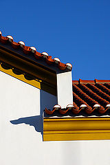 photo "contrast"