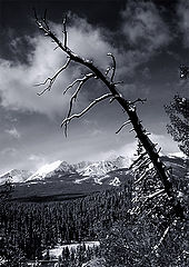photo "Winter"
