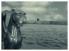 photo "Untitled photo"
