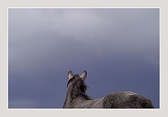 фото "~~"