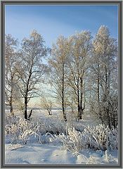 photo "***"