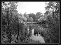 photo "***"