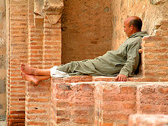photo "Resting"