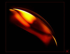 photo "red"