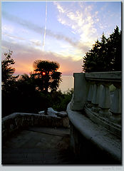 photo "Untitled photo"