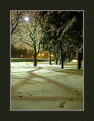 photo "Birthday of winter"