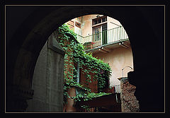 photo "The geometry of Lvov"