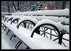 фото "Lonely Bench"