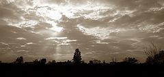 photo "Evening near to L`vov, Ukraine"