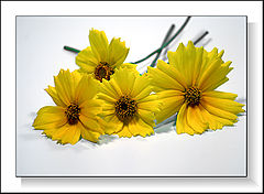 photo "for you"