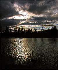 photo "The night is close"