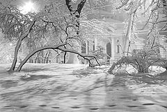 photo "Traces on a first snow"