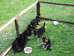 photo "Have had a meal... Now it is possible and to have"