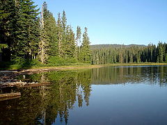 photo "Almost like mirror."