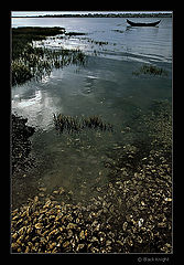 photo "Bay of the Oysters"