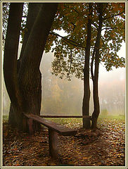 photo "Autumn tango"