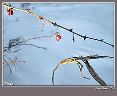 фото "Воспоминания о лете #3. Холодно."