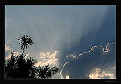 photo "Rising light"