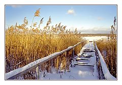 photo "Old mooring"