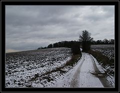 photo "Bisamberg, Vienna"