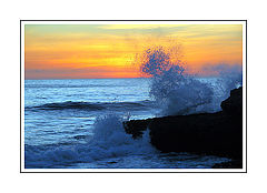 photo "Fury"