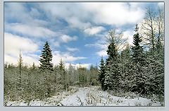 фото "Без названия"