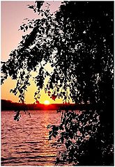 photo "...sun..."