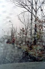 photo "One of December Raining Days ..."