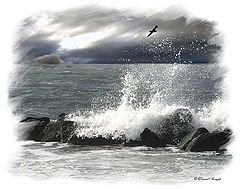 photo "Coney Island"