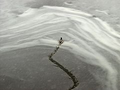 photo "The ice breaker."