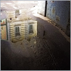 photo "The puddle"