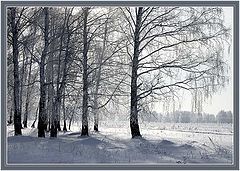 photo "Sunny..."