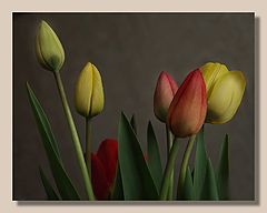 photo "*****"