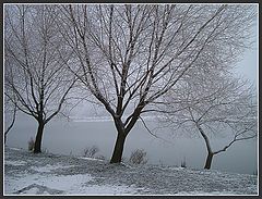 фото "Triplet"