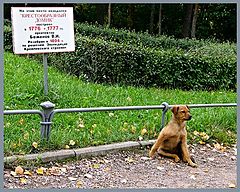 фото "А ему и невдомек..."