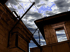 фото "desire of the liberty"