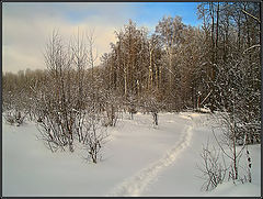 фото "Теперь точно зима."